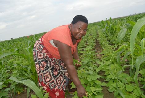 Doreen Fatch working in her crop field