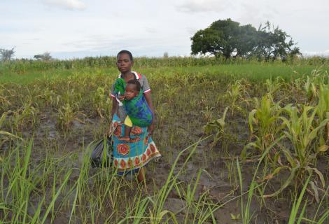 Emery Moffat in her maize field in Mbona Village, T/A Jenala