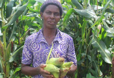 Catherine Banda showing maize she cultivated with agroecology practices