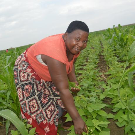 Doreen Fatch working in her crop field