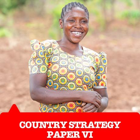 Country Strategy Paper VI
