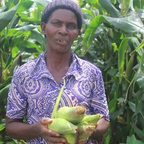 Catherine Banda showing maize she cultivated with agroecology practices