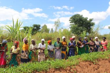 Members of Yelodani VSLA in their potatoe field